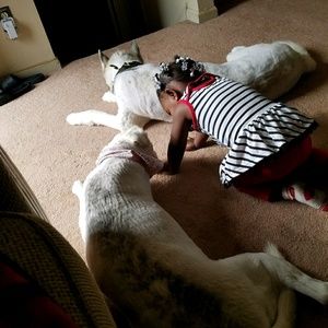 Meet your Posher, Cheryl